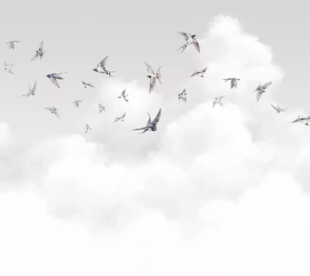 Обои премиальные Loymina Milassa Ambient vol. 3 Spring Swallows AM11 011