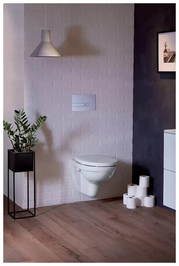 Унитаз подвесной, безободковый Jacob Delafon Patio EDV102-00 3